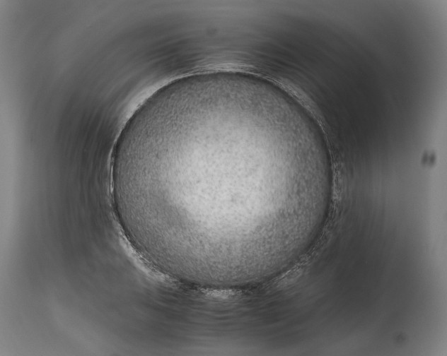 X0000114601031200911161349