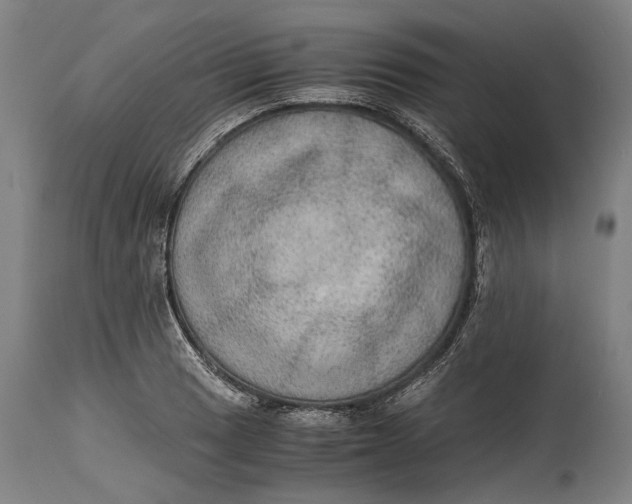 X0000114601033200911161349