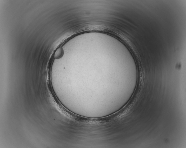 X0000114601034200911161349