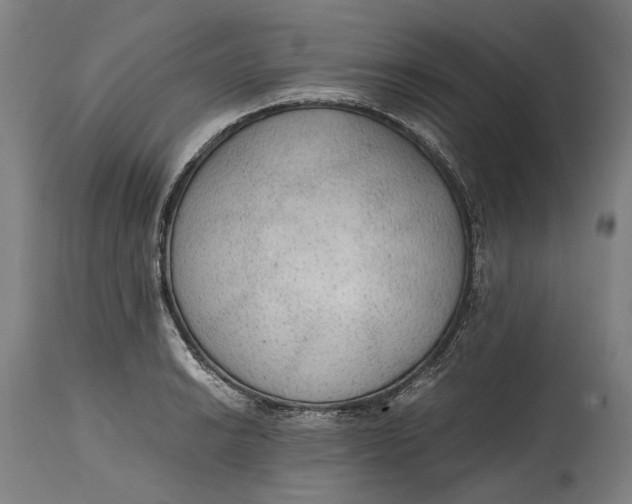 X0000114601038200911161349