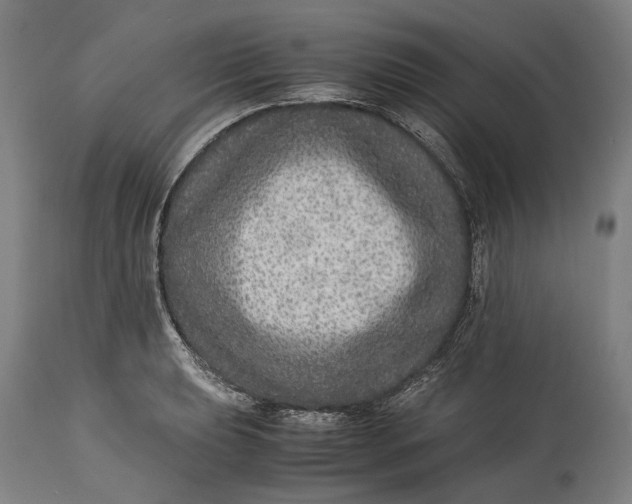 X0000114601039200911161349