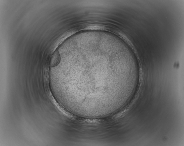 X0000114601041200911161349