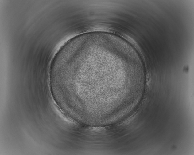 X0000114601043200911161349