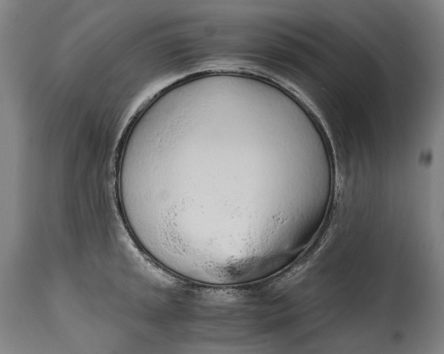 X0000114601045200911161349