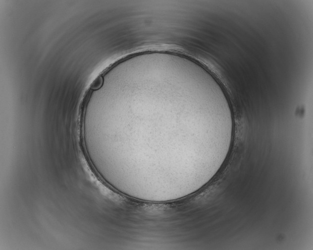 X0000114601046200911161349