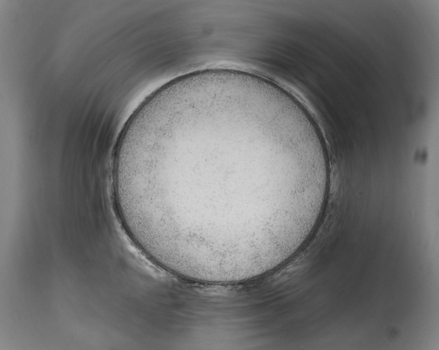 X0000114601048200911161349