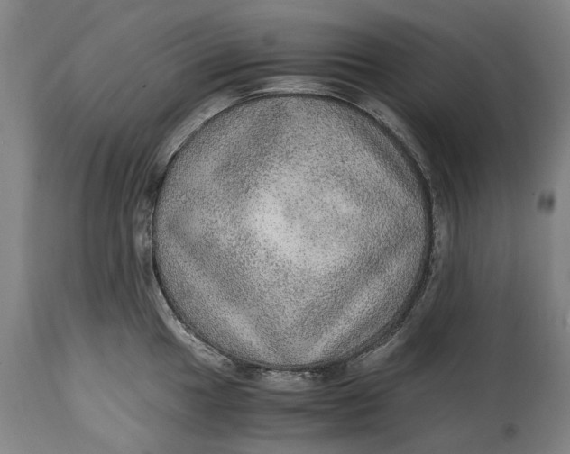 X0000114601049200911161349