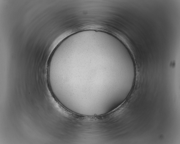 X0000114601050200911161349