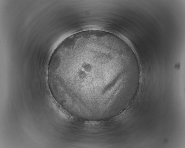 X0000114601051200911161349