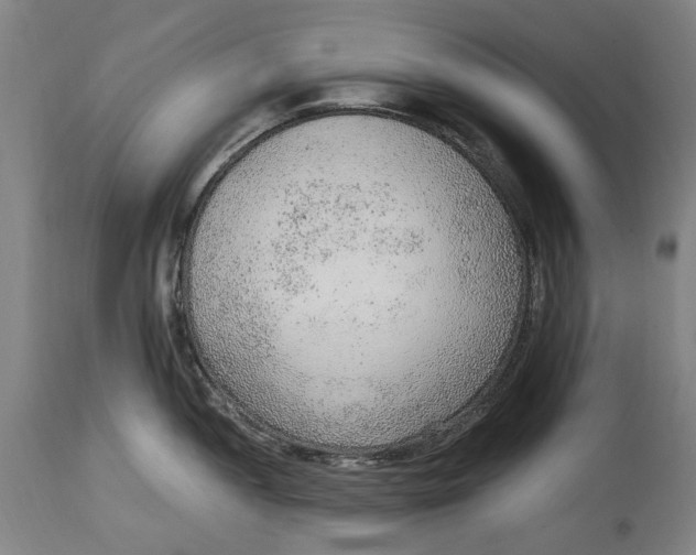 X0000114601052200911161349