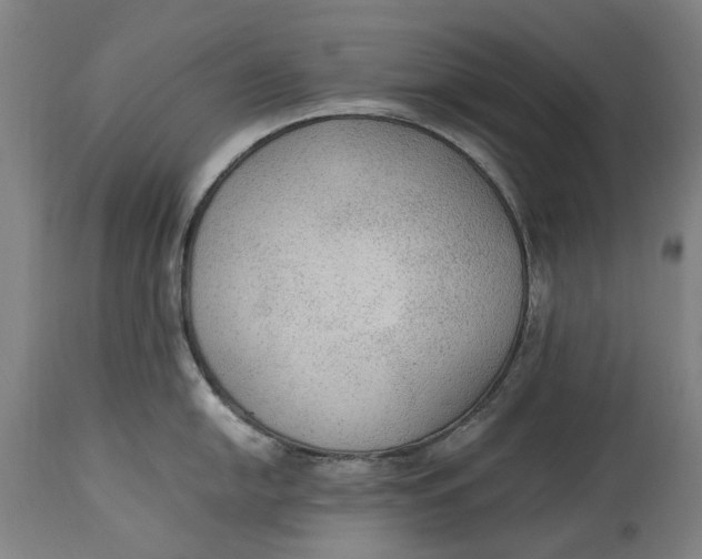 X0000114601054200911161349