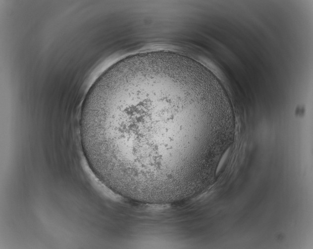 X0000114601055200911161349