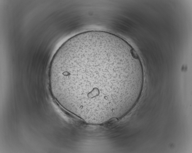 X0000114601056200911161349