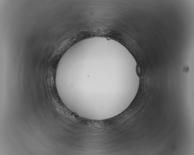 X0000114601058200911161349