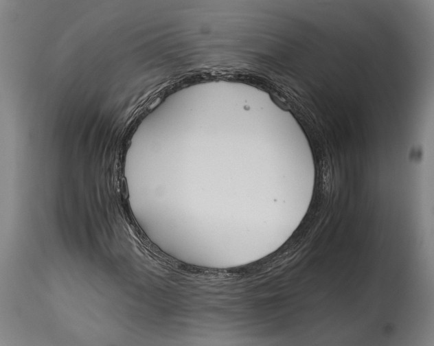 X0000114601060200911161348