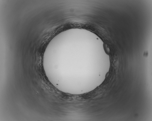 X0000114601061200911161348