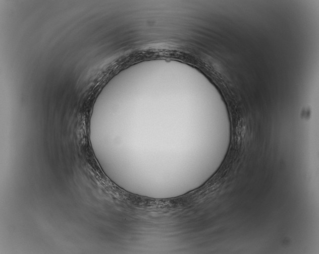 X0000114601062200911161348