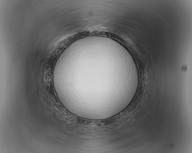 X0000114601063200911161348