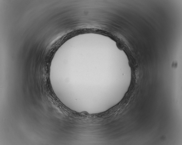 X0000114601064200911161348