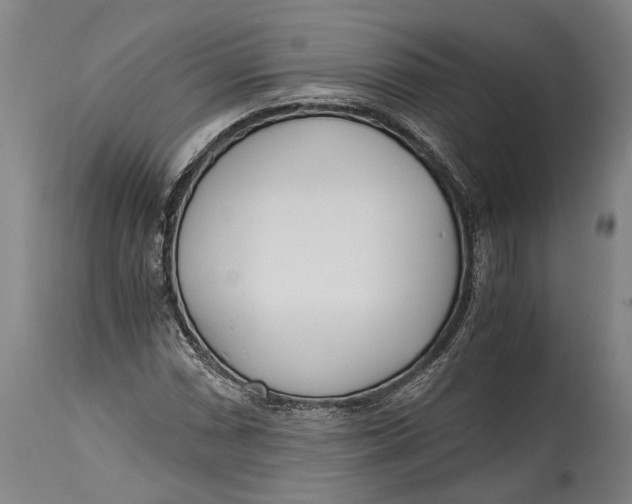 X0000114601066200911161348