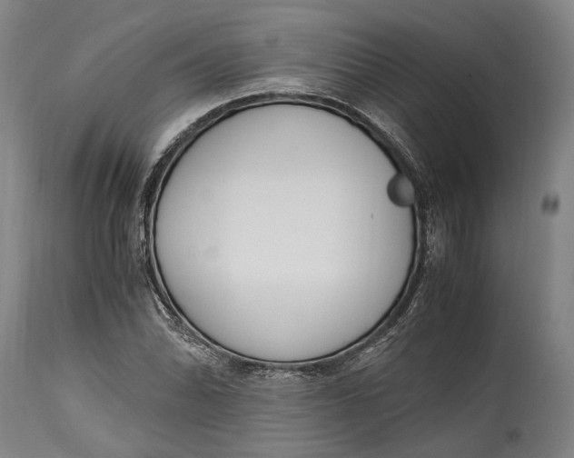 X0000114601070200911161348