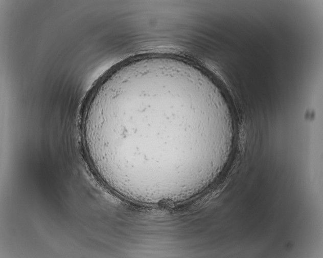 X0000114601071200911161348