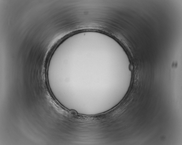 X0000114601072200911161348