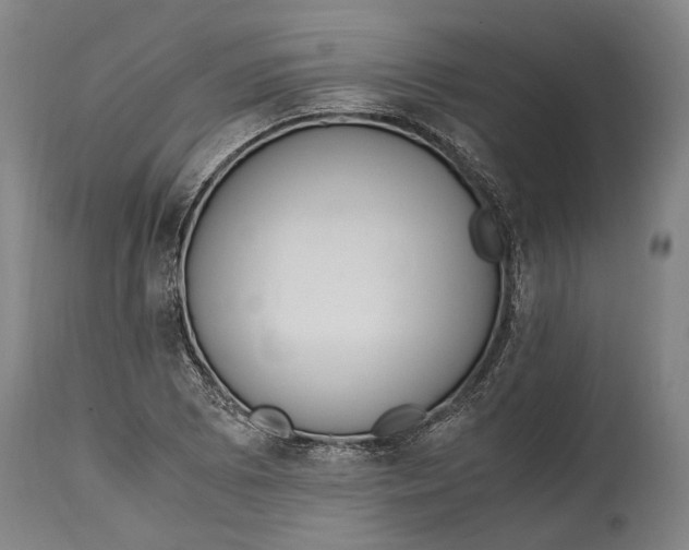 X0000114601073200911161348