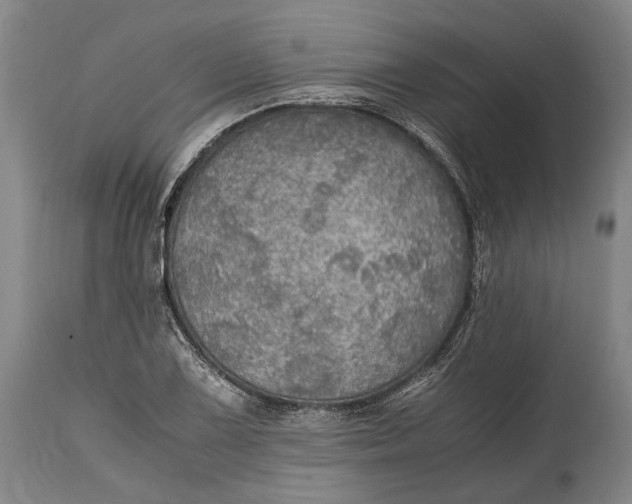 X0000114601075200911161348