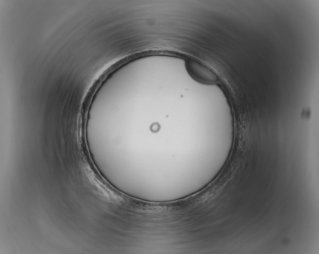 X0000114601076200911161348