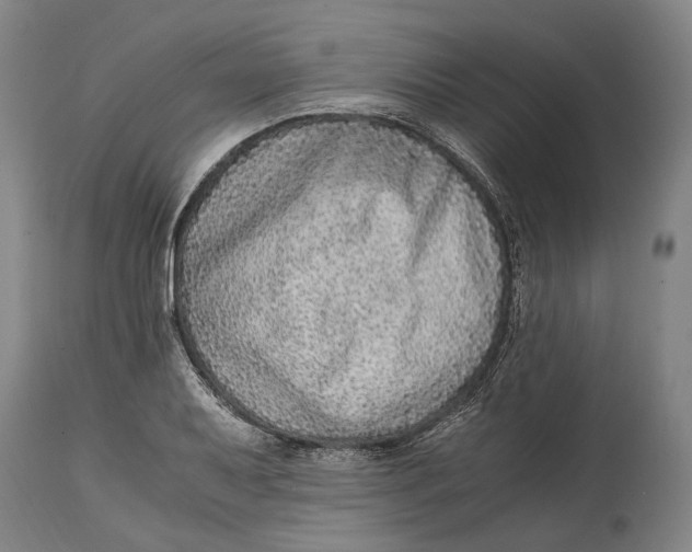 X0000114601079200911161348