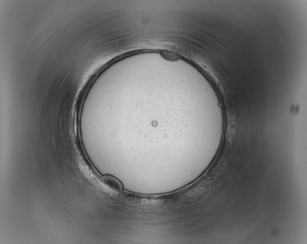 X0000114601080200911161348