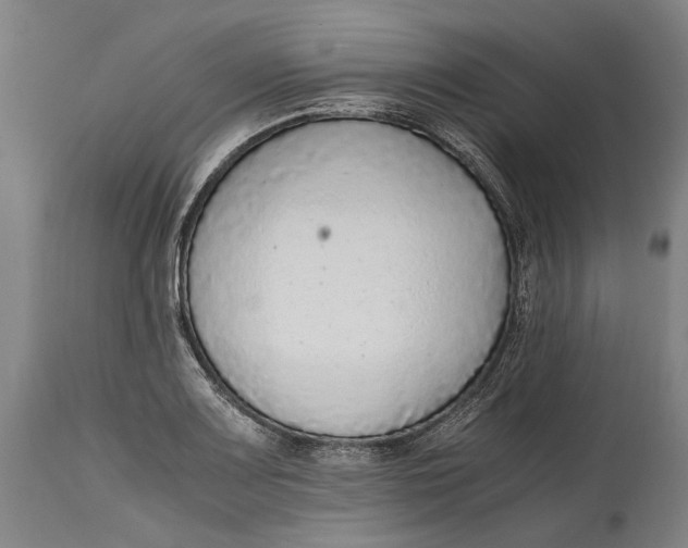 X0000114601083200911161348