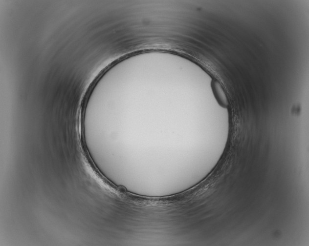 X0000114601084200911161348