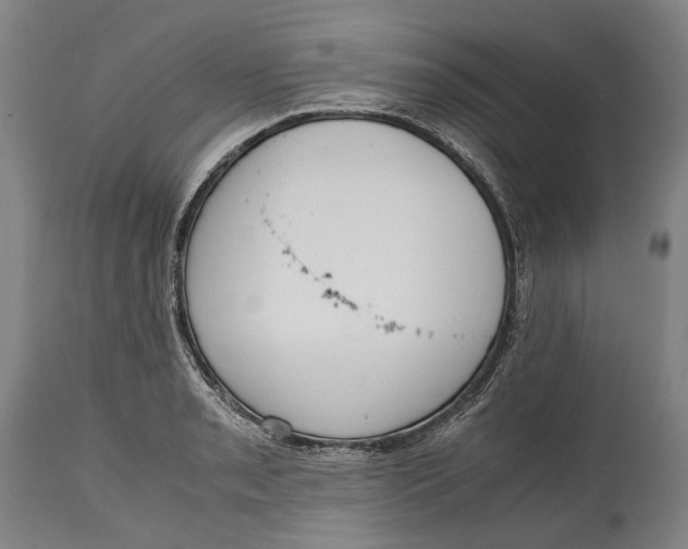 X0000114601085200911161348