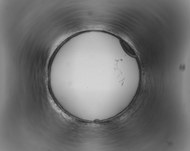 X0000114601088200911161348