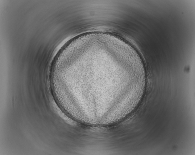 X0000114601091200911161348