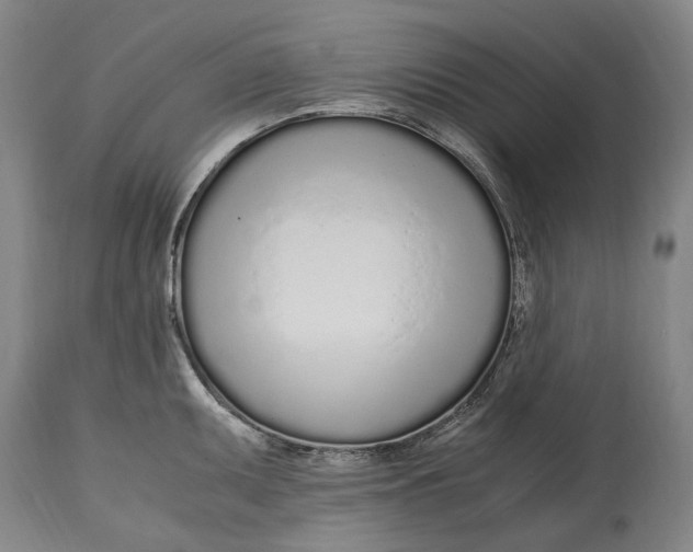 X0000114601095200911161348