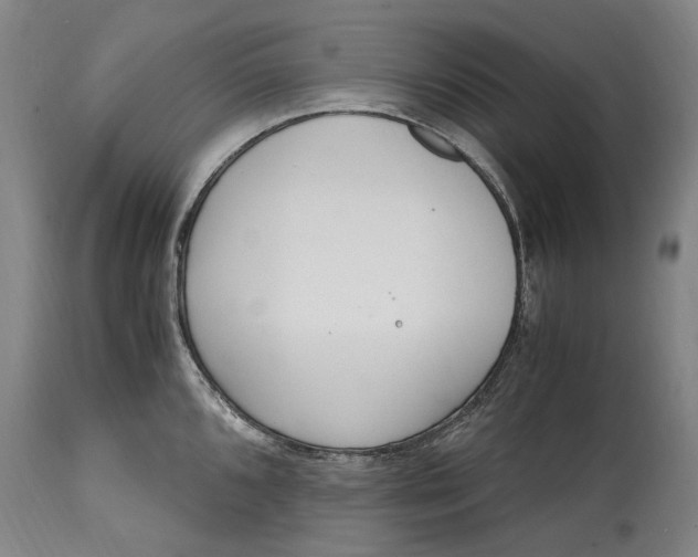 X0000114601096200911161348