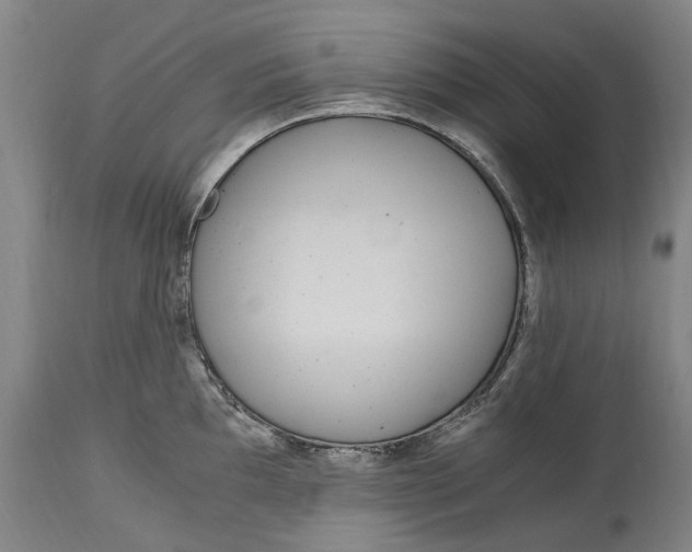 X0000114601097200911161348