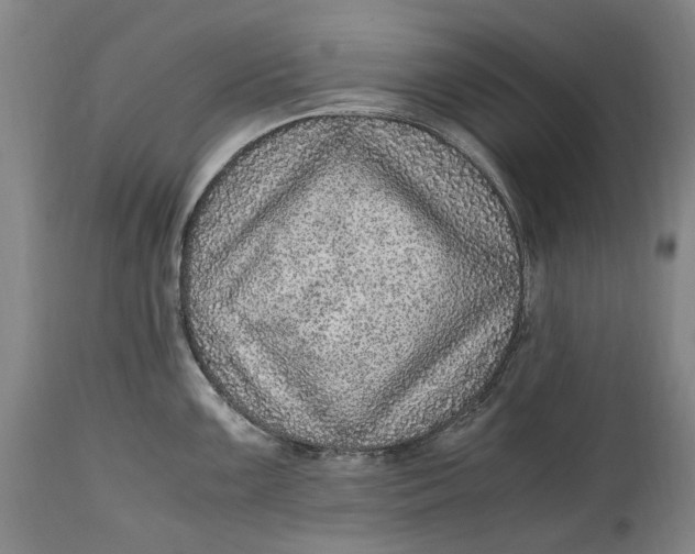 X0000114601099200911161348