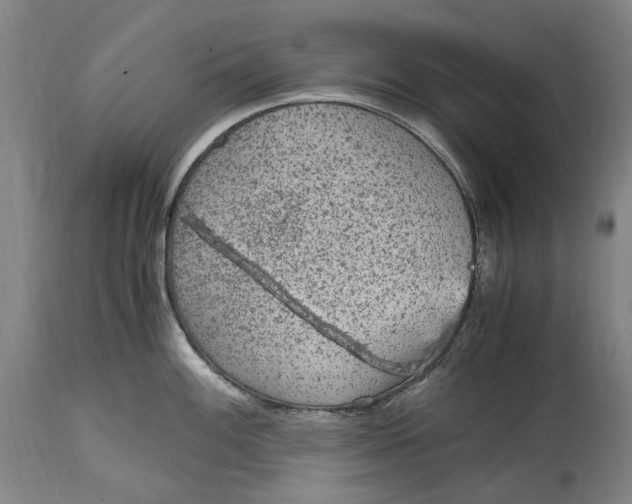 X0000114601100200911161348