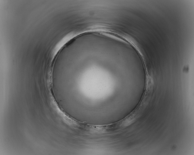 X0000114601101200911161348