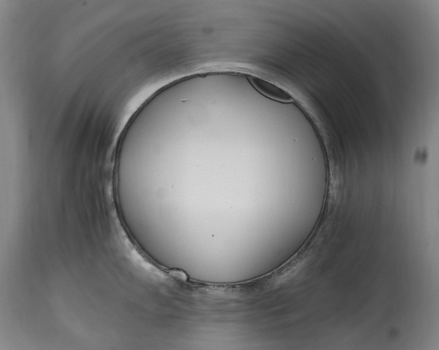 X0000114601102200911161348