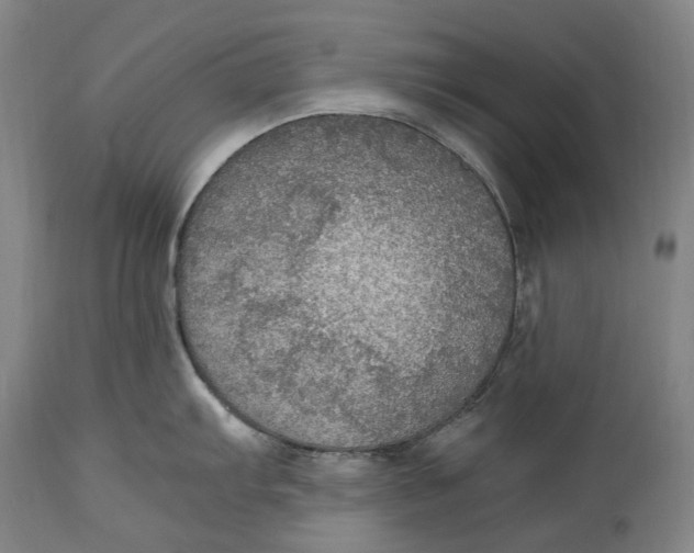 X0000114601103200911161348