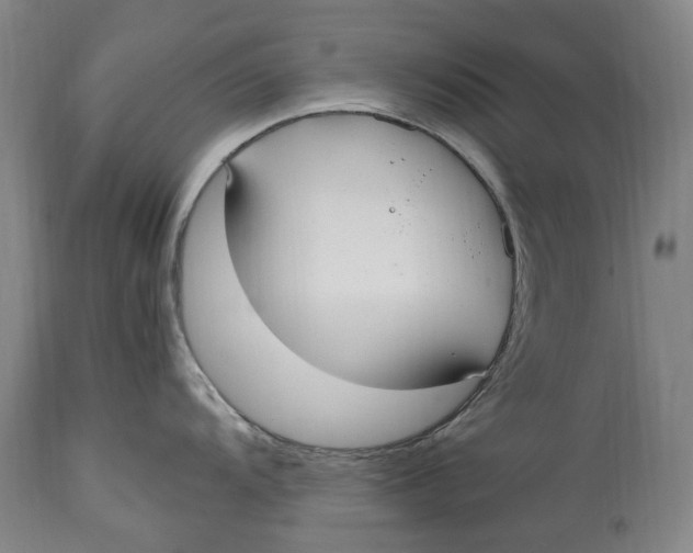 X0000114601104200911161348