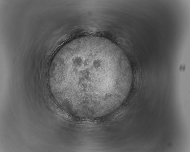 X0000114601105200911161347