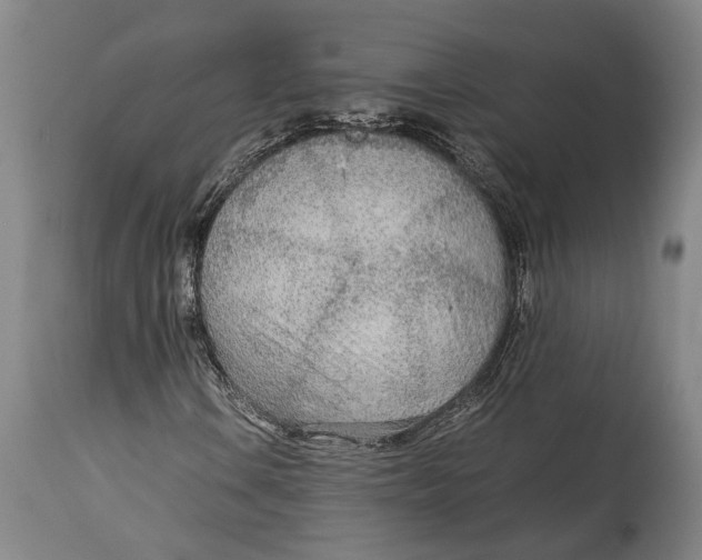 X0000114601106200911161347