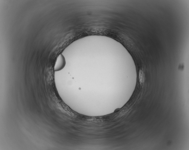 X0000114601107200911161347