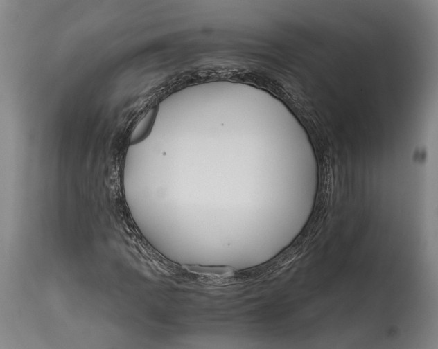 X0000114601109200911161347